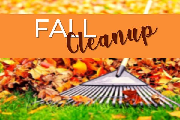 Fall Cleanup 600x400